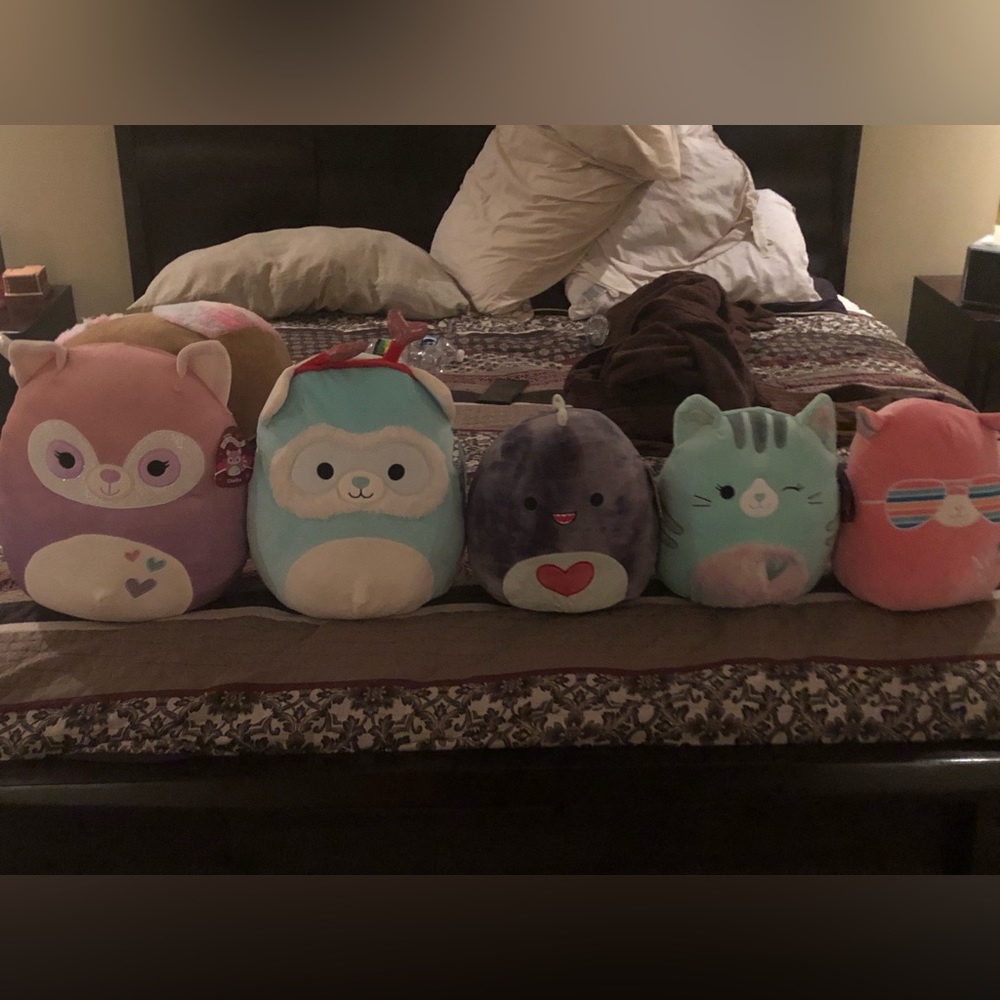 5 Brand new squishmallows